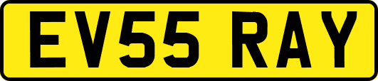 EV55RAY