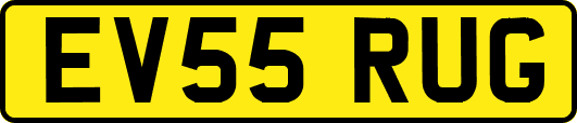 EV55RUG
