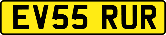 EV55RUR