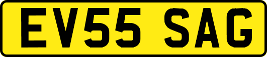 EV55SAG