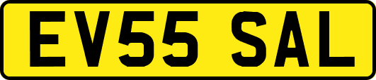 EV55SAL