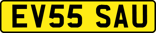 EV55SAU