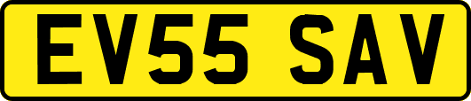 EV55SAV