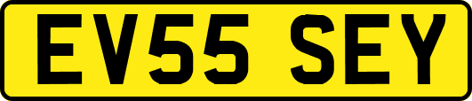 EV55SEY