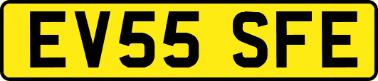 EV55SFE