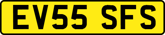 EV55SFS