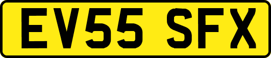 EV55SFX