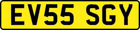 EV55SGY