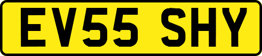 EV55SHY