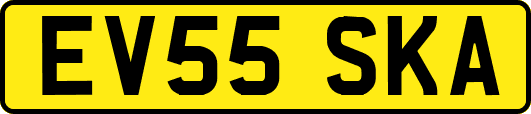 EV55SKA