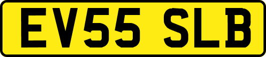 EV55SLB