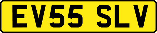 EV55SLV