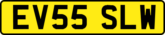 EV55SLW