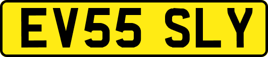 EV55SLY