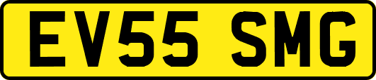 EV55SMG