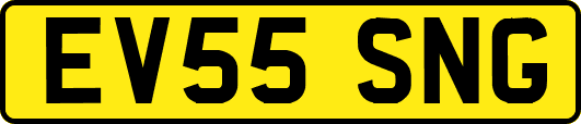 EV55SNG