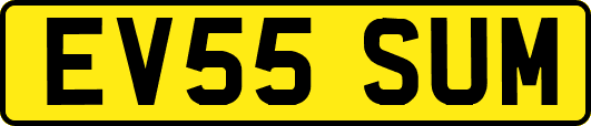 EV55SUM