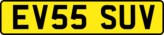EV55SUV