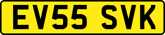 EV55SVK