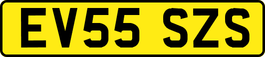 EV55SZS