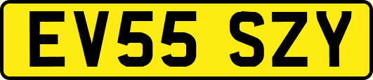 EV55SZY
