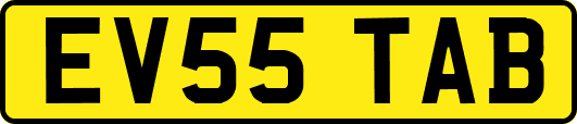 EV55TAB
