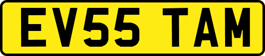 EV55TAM