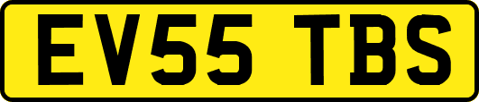 EV55TBS