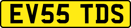 EV55TDS
