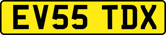 EV55TDX
