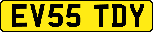 EV55TDY