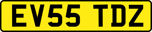 EV55TDZ