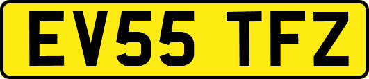 EV55TFZ