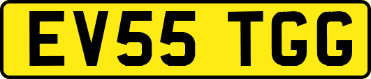 EV55TGG