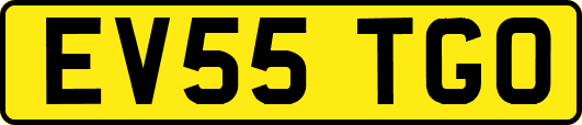 EV55TGO