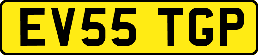 EV55TGP