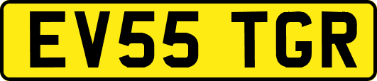EV55TGR