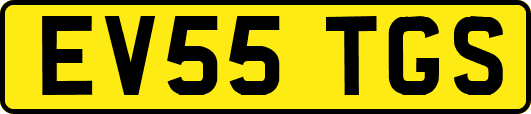 EV55TGS