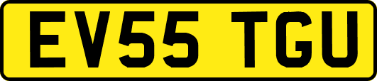 EV55TGU