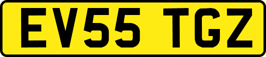 EV55TGZ