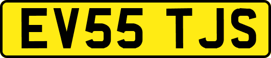 EV55TJS