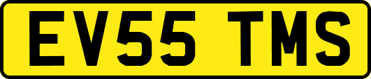 EV55TMS