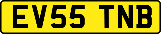EV55TNB