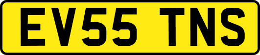 EV55TNS