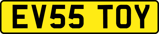 EV55TOY