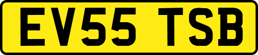 EV55TSB