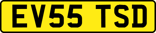 EV55TSD