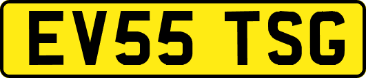 EV55TSG