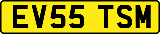 EV55TSM