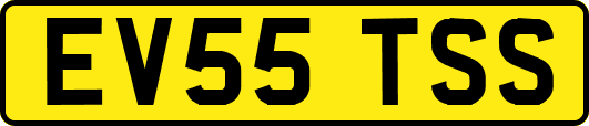 EV55TSS